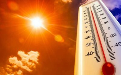 TORNA IL CALDO NEL REGGIANO