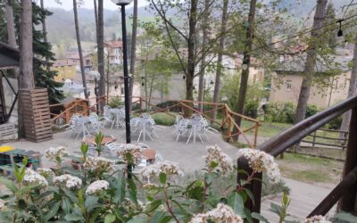 CASINA, CHIUDE IL PARCO PINETA