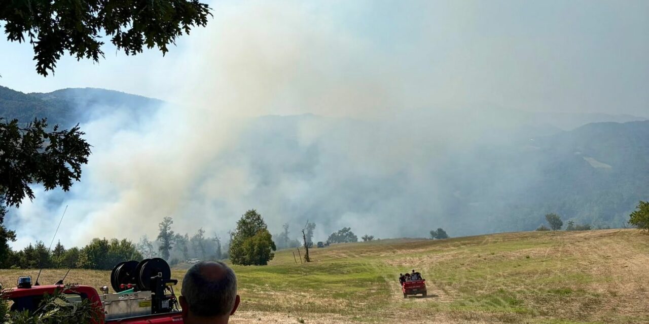 INCENDI, PARCO APPENNINO “MASSIMA ALLERTA”