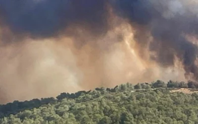 INCENDI BOSCHIVI, PROROGATA L’ALLERTA AL 31 AGOSTO