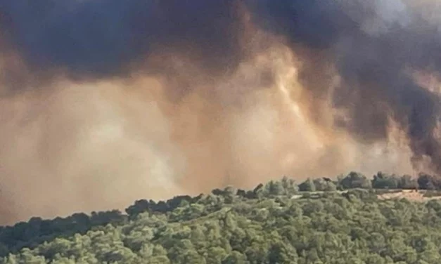 INCENDI BOSCHIVI, PROROGATA L’ALLERTA AL 31 AGOSTO