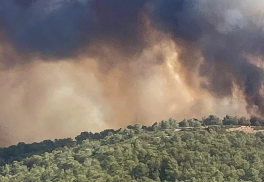INCENDI BOSCHIVI, PROROGATA L’ALLERTA AL 31 AGOSTO