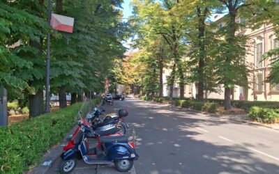 GIAREDA, IL MERCATO STORICO GIA’ CONCLUSO. DELUSIONE PER TANTI REGGIANI