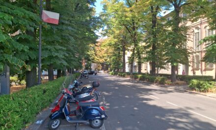 GIAREDA, IL MERCATO STORICO GIA’ CONCLUSO. DELUSIONE PER TANTI REGGIANI