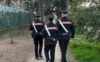 SCANDIANO, SEI MINORENNI DENUNCIATI PER ROGO AL PARCO E SCRITTE CONTRO FORZE DELL’ORDINE