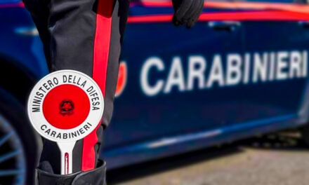 FURTO DI VESTITI FIRMATI, CAMIONISTA DENUNCIATO