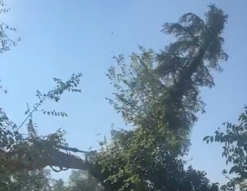 CANTIERE BOSCO OSPIZIO, RIVEDI LA PUNTATA DI POV DI TELETRICOLORE AL LINK QUI SOTTO E ALLE 21 SU TELETRICOLORE