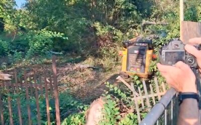 BOSCO OSPIZIO AGGIORNAMENTO, LE RUSPE SONO ENTRATE IN AZIONE, SUL POSTO LA POLIZIA