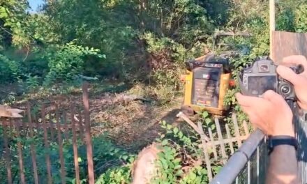 BOSCO OSPIZIO AGGIORNAMENTO, LE RUSPE SONO ENTRATE IN AZIONE, SUL POSTO LA POLIZIA
