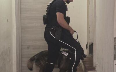 RITROVATA UNA MINORENNE FUGGITA DA CASA