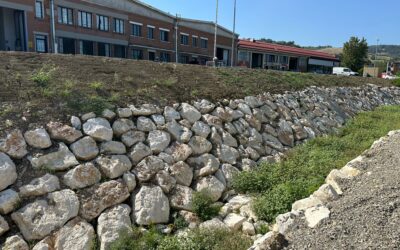 AMIANTO E SCARTI INDUSTRIALI, DOPPIO INTERVENTO AD ALBINEA E CASALGRANDE
