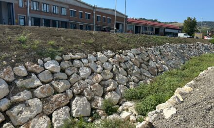AMIANTO E SCARTI INDUSTRIALI, DOPPIO INTERVENTO AD ALBINEA E CASALGRANDE
