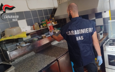 LOCALI SPORCHI E CIBO SCADUTO, SANZIONI A REGGIO