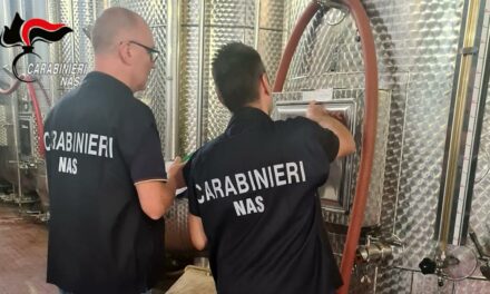 SOLFITI NON INDICATI, SANZIONATA AZIENDA VITIVINICOLA
