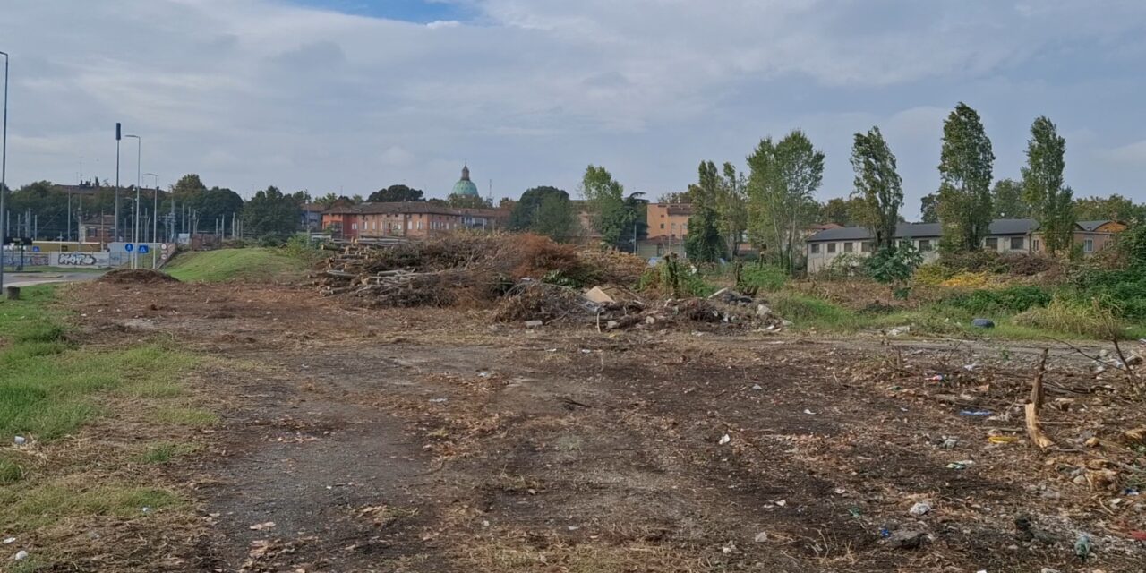 ABBATTUTE LE PIANTE NELLA ZONA EX CEPAM