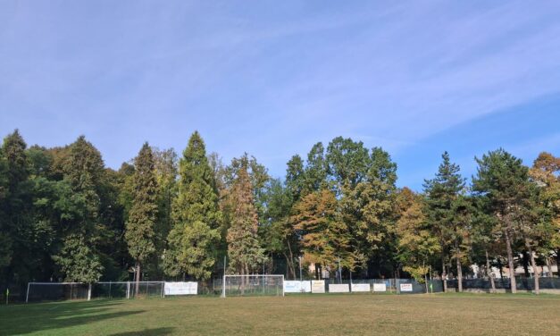 VIA MELATO, “ALTRI ALBERI A RISCHIO ABBATTIMENTO”