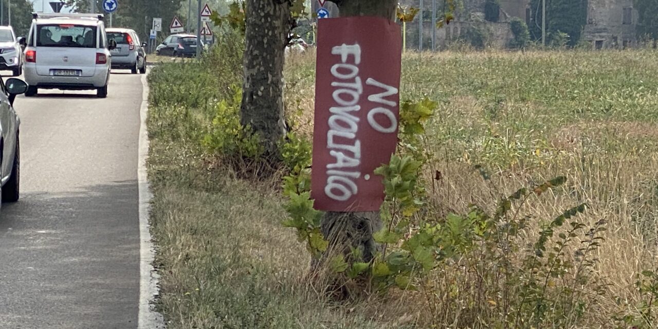 A SCANDIANO TUTTI CONTRARI ALL’IMPIANTO FOTOVOLTAICO IN UN CAMPO DI BOSCO 