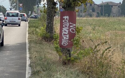 A SCANDIANO TUTTI CONTRARI ALL’IMPIANTO FOTOVOLTAICO IN UN CAMPO DI BOSCO