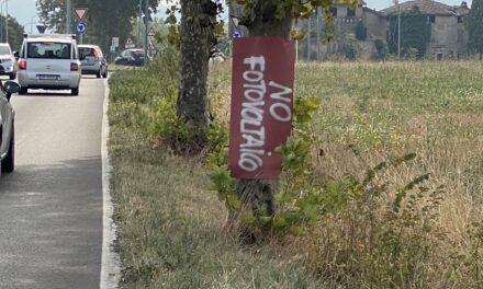 A SCANDIANO TUTTI CONTRARI ALL’IMPIANTO FOTOVOLTAICO IN UN CAMPO DI BOSCO 