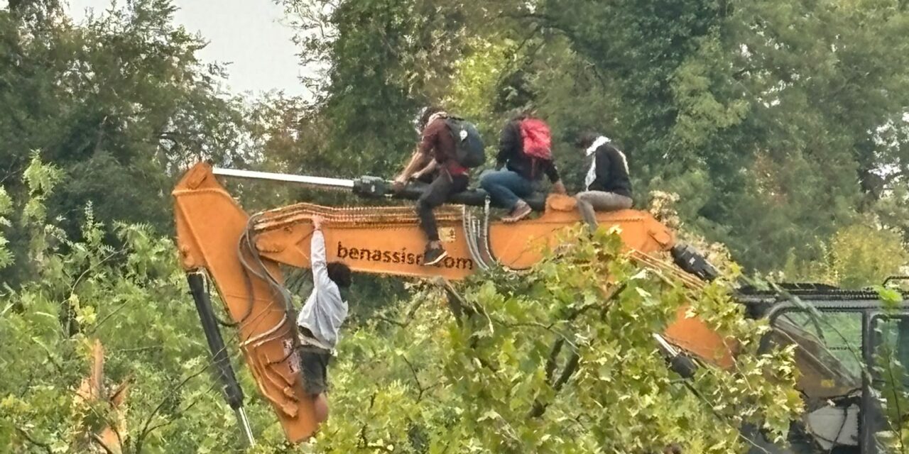 CANTIERE BOSCO OSPIZIO, AGGIORNAMENTI TRA LAVORI E CARTE BOLLATE