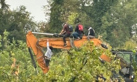CANTIERE BOSCO OSPIZIO, AGGIORNAMENTI TRA LAVORI E CARTE BOLLATE
