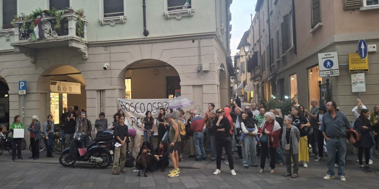IL BOSCO NON C’E’ PIU’ MA  LA PROTESTA RIMANE