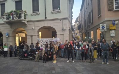 IL BOSCO NON C’E’ PIU’ MA LA PROTESTA RIMANE