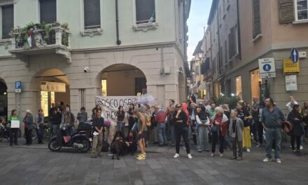IL BOSCO NON C’E’ PIU’ MA  LA PROTESTA RIMANE