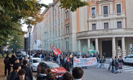 MANIFESTAZIONE STUDENTESCA ANCHE A REGGIO MA LA PREOCCUPAZIONE CORRE SULLE CHAT WAP PER I GENITORI