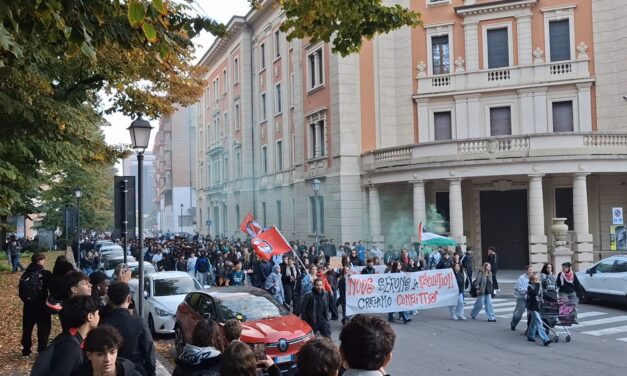 MANIFESTAZIONE STUDENTESCA ANCHE A REGGIO, NESSUN DISORDINE