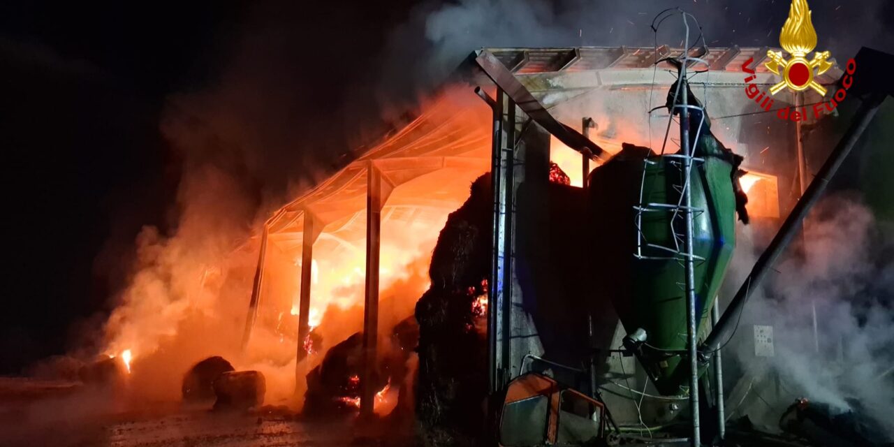 CARPINETI, INCENDIO DEVASTA FIENILE DELL’AZIENDA AGRICOLA CASONI E FIGLI. SALVATI GLI ANIMALI