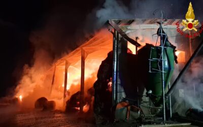 CARPINETI, INCENDIO DEVASTA FIENILE DELL’AZIENDA AGRICOLA CASONI E FIGLI. SALVATI GLI ANIMALI