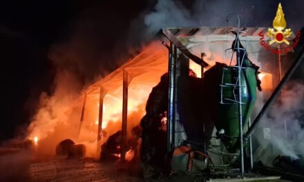 CARPINETI, INCENDIO DEVASTA FIENILE DELL’AZIENDA AGRICOLA CASONI E FIGLI. SALVATI GLI ANIMALI