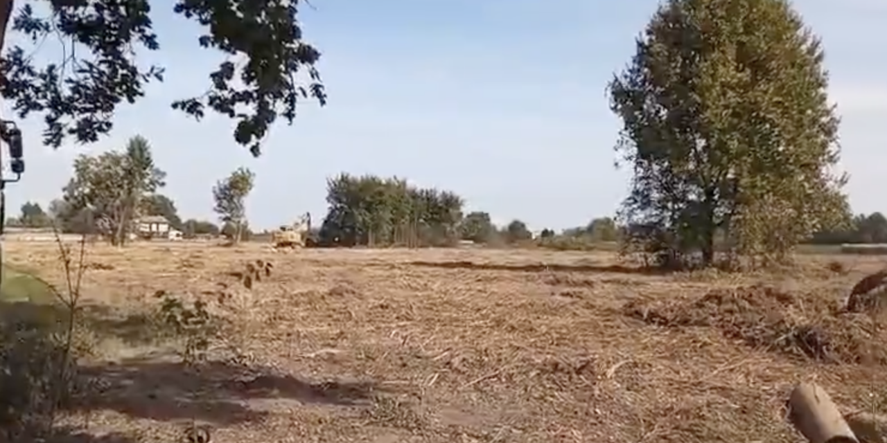 NOVELLARA, STOP AL TAGLIO NEL “BOSCO”