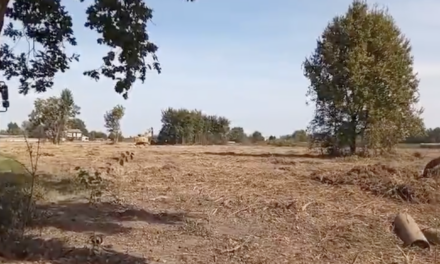 NOVELLARA, STOP AL TAGLIO NEL “BOSCO”